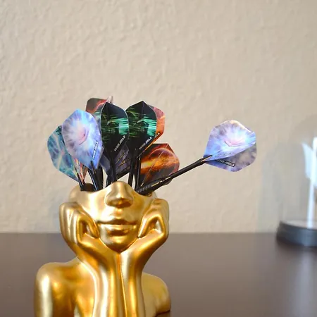 Spacieux - Literie De Gamme - Billard - Flechette -tv 65